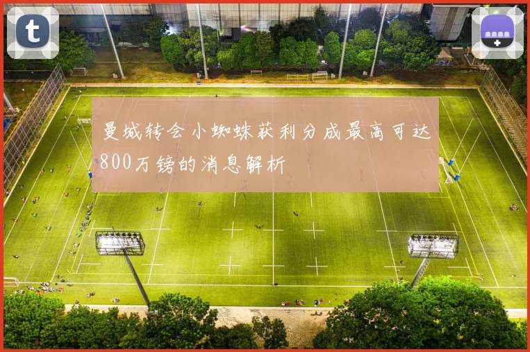 曼城转会小蜘蛛获利分成最高可达800万镑的消息解析